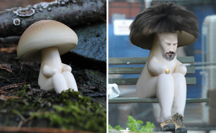 image-20221214153211-9