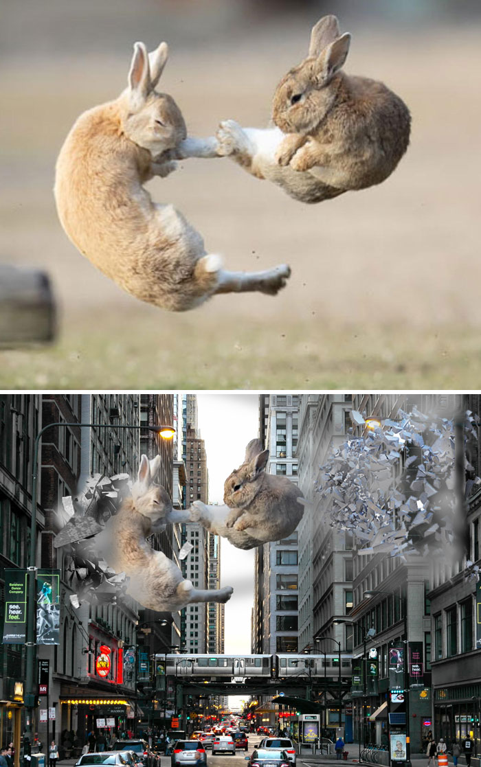 image-20221214153215-10