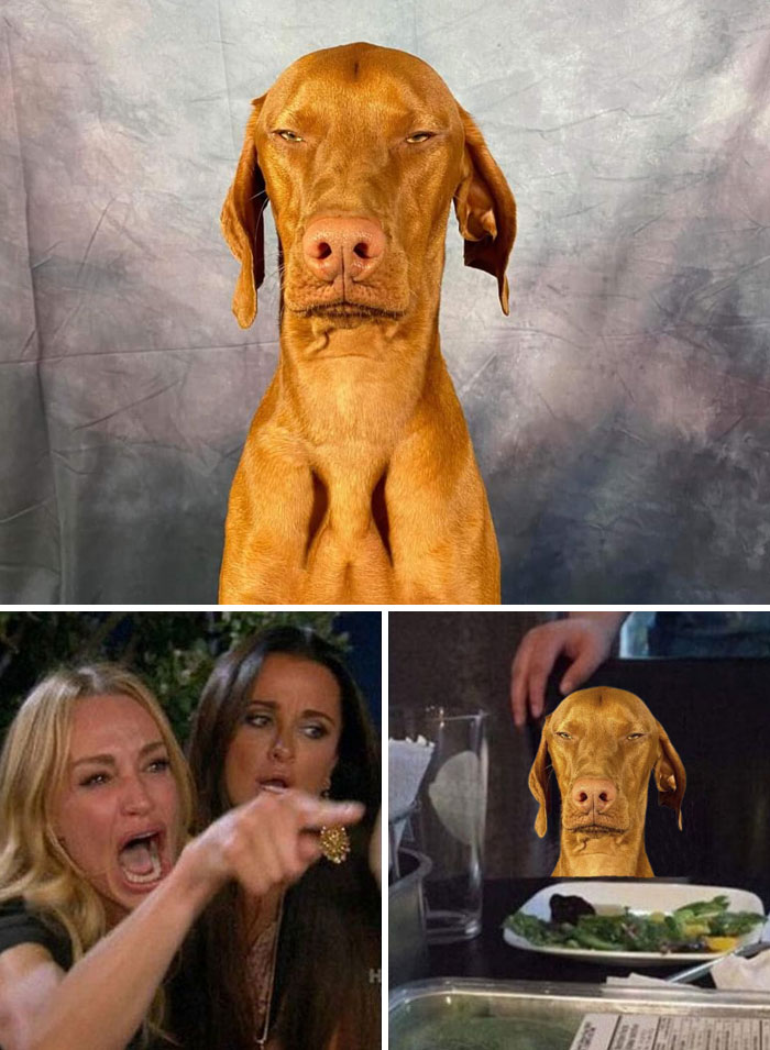 image-20221214153221-12