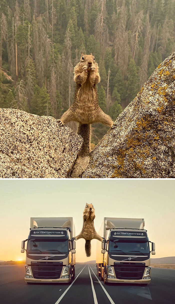 image-20221214153225-13