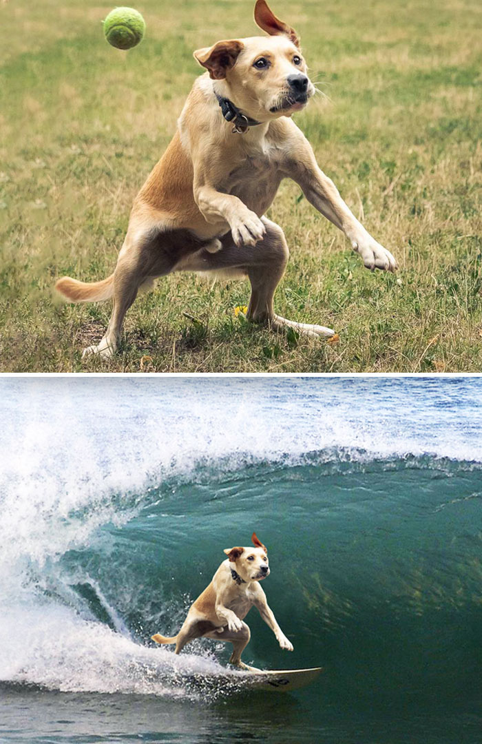 image-20221214153232-14