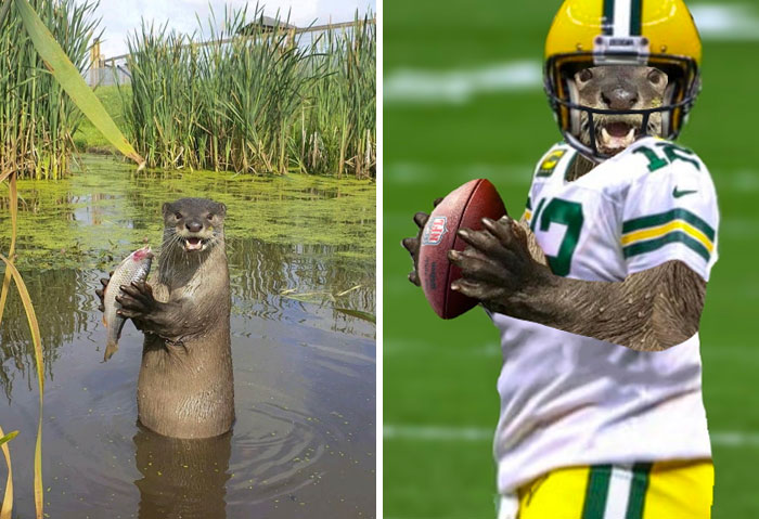 image-20221214153238-16