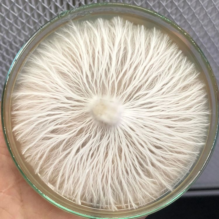 image-20221214211214-1