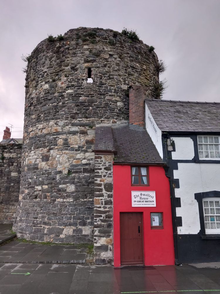 image-20221214211331-6