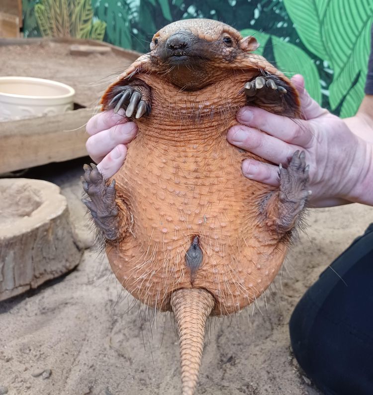 image-20221214211341-9