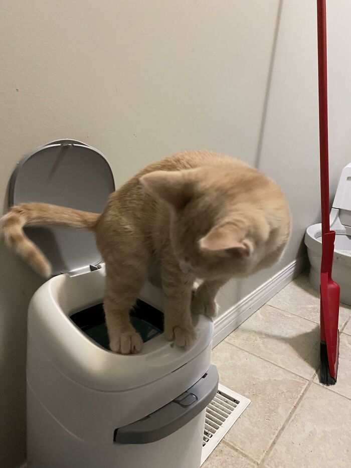 image-20221215114147-2