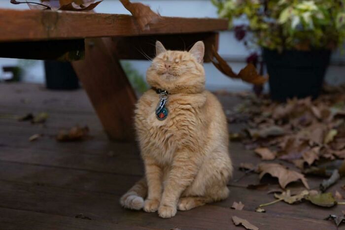 image-20221215114152-4