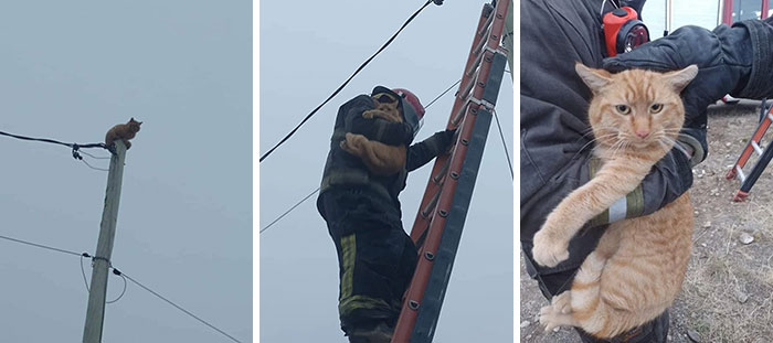 image-20221215114211-9