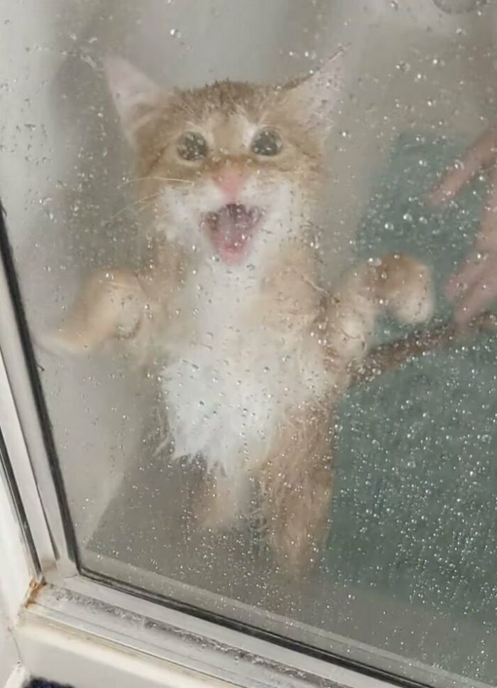 image-20221215114220-12