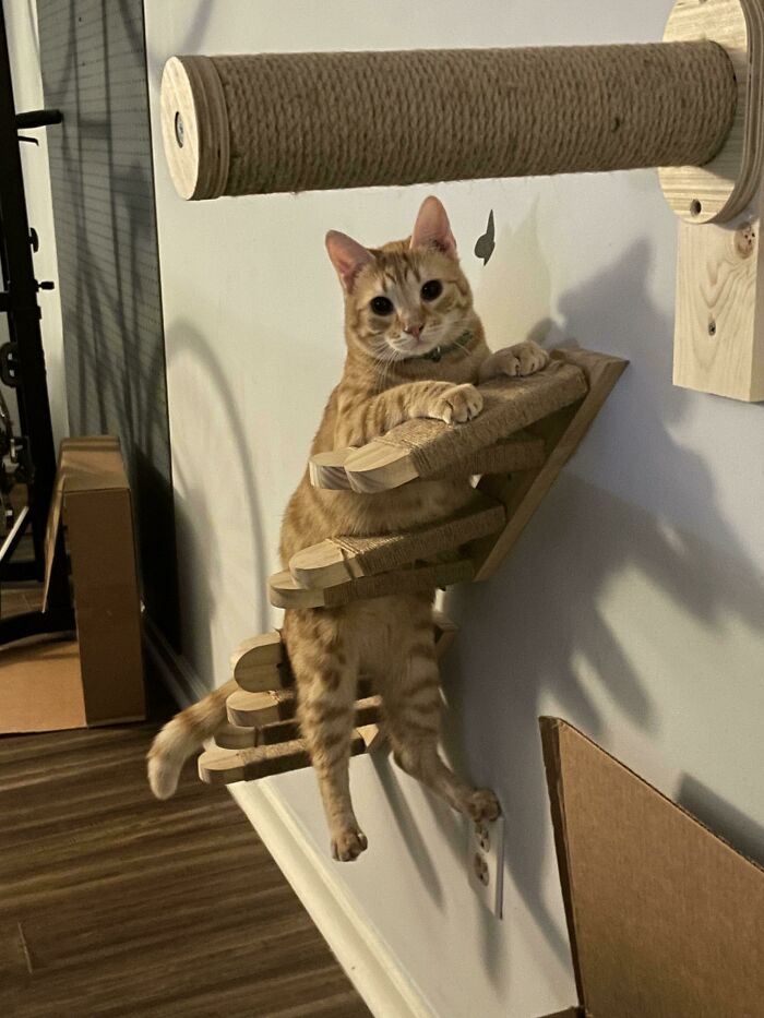 image-20221215114224-13