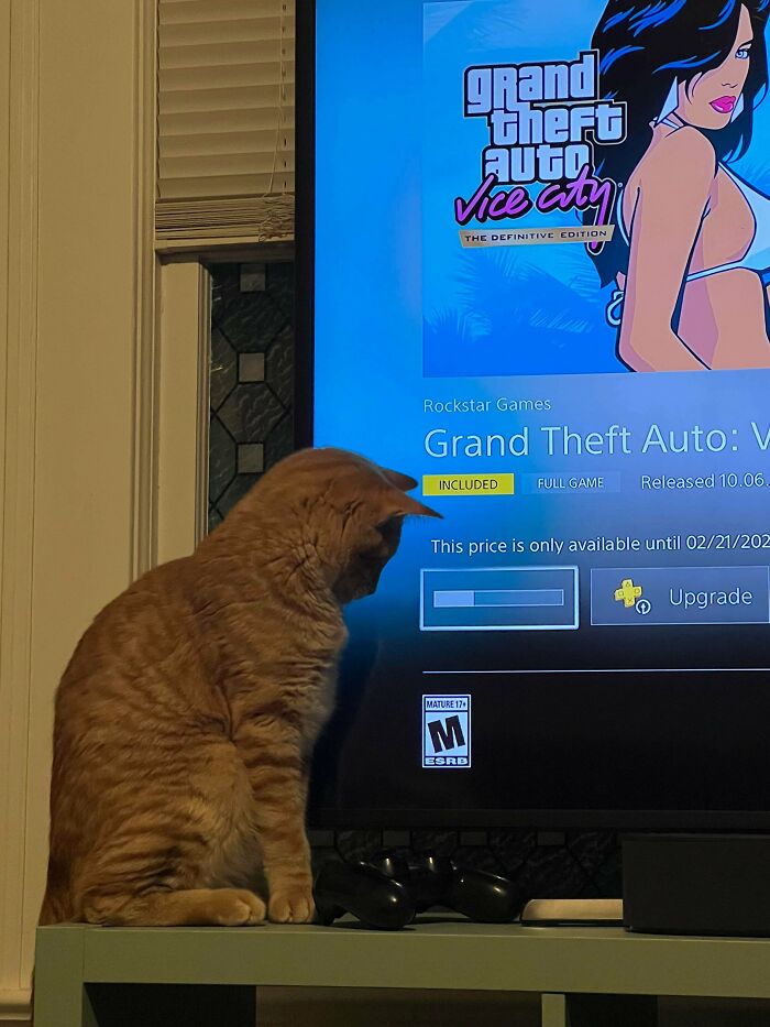 image-20221215114229-15