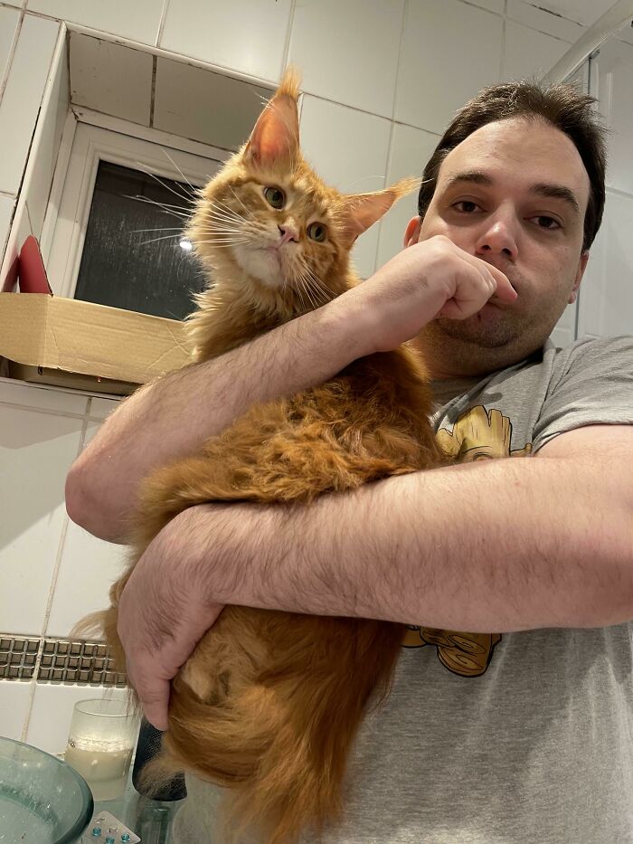 image-20221215114232-16