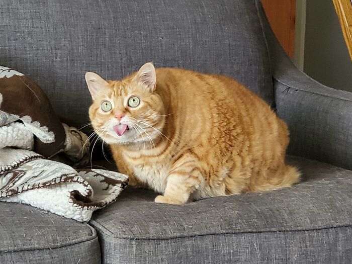 image-20221215114235-17