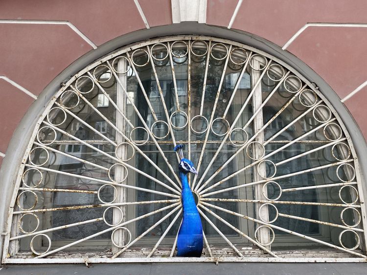 image-20221215144944-3