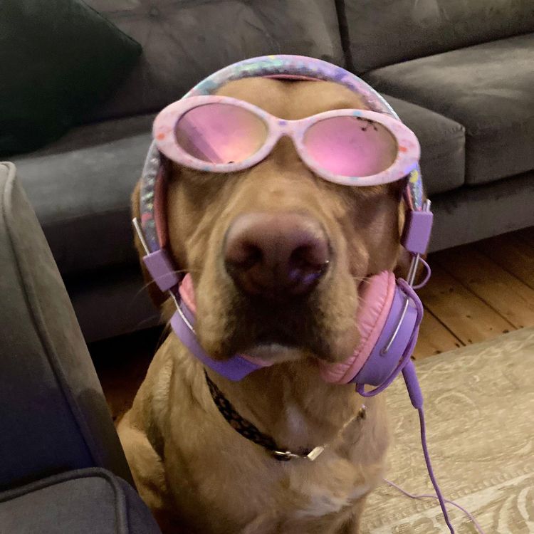 image-20221215182110-13