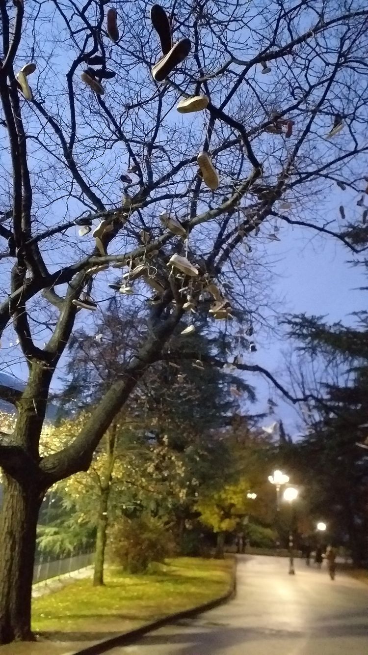 image-20221216170119-4