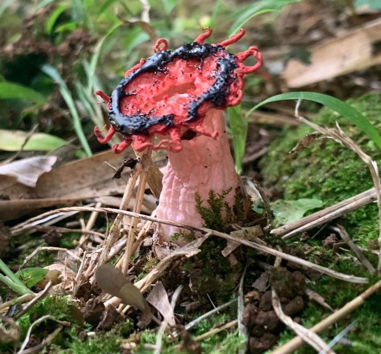 image-20221216170135-9