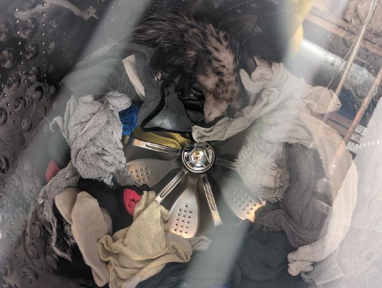 image-20221216170213-15