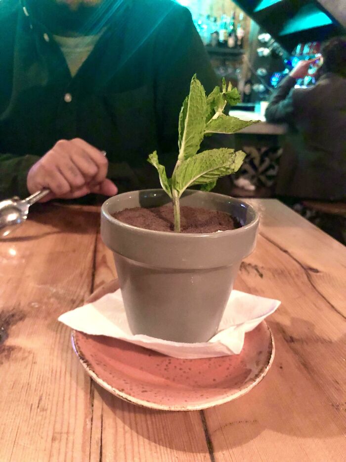 image-20221219130451-13