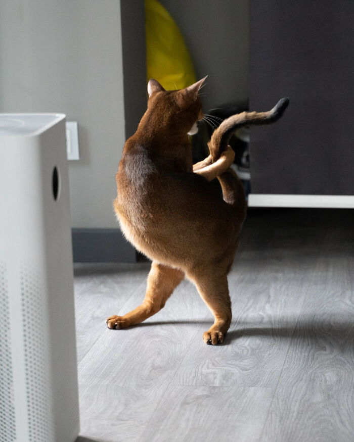 image-20221219171541-1