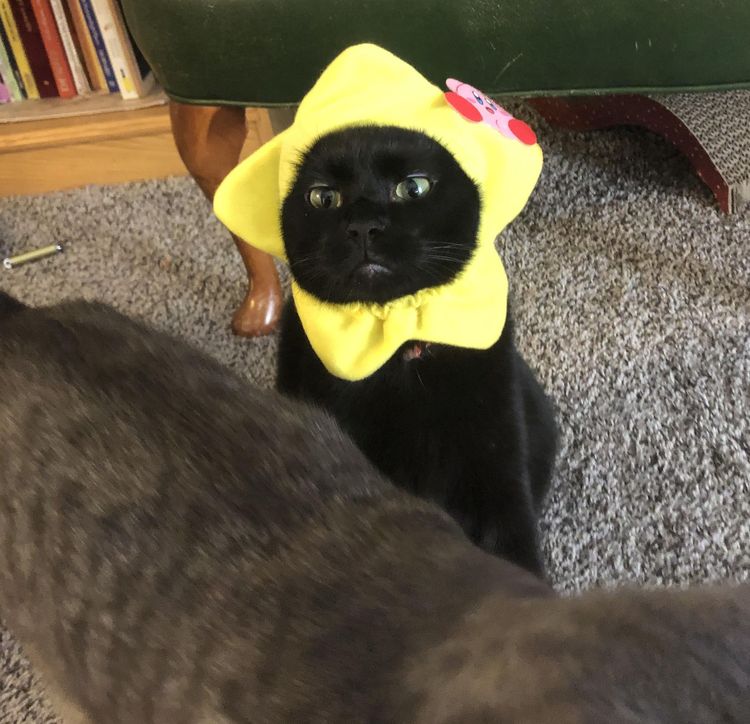 image-20221219171547-3