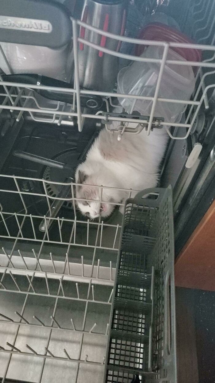 image-20221219171603-7