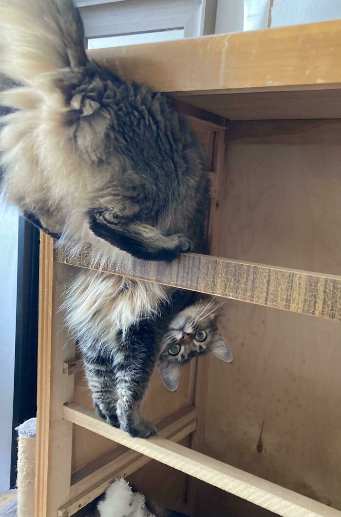 image-20221219171608-8