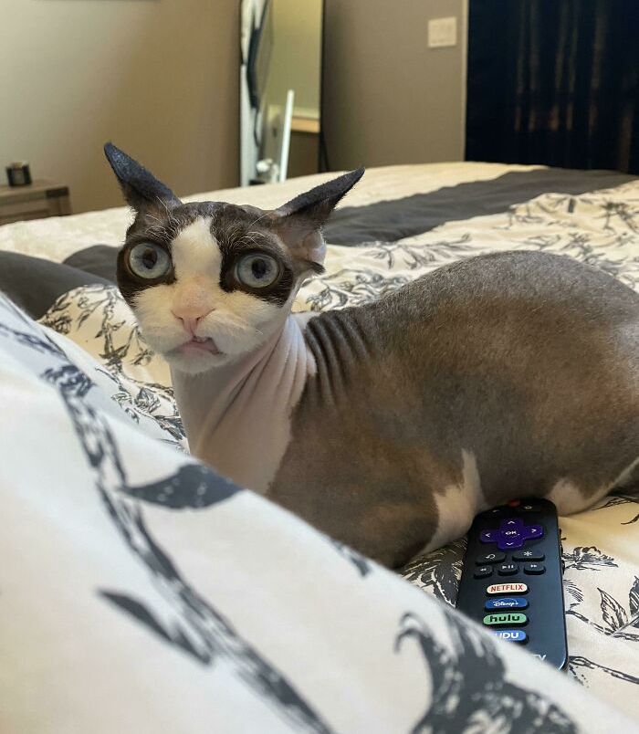 image-20221219171612-9