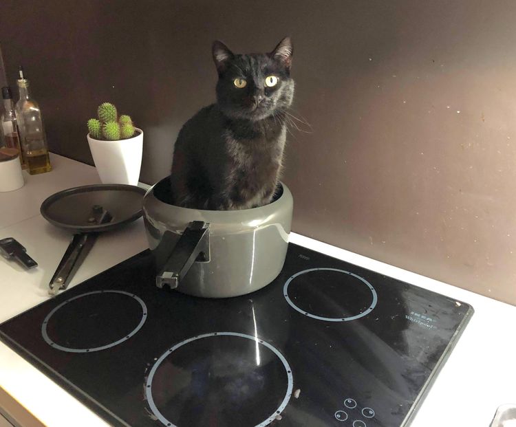 image-20221219171615-10