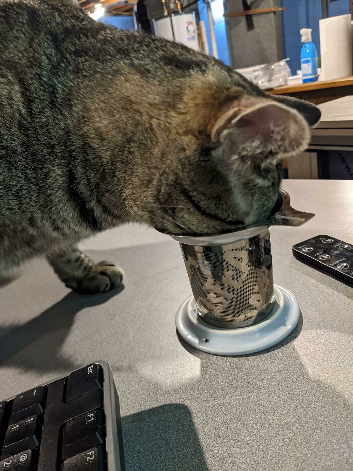 image-20221219171621-12