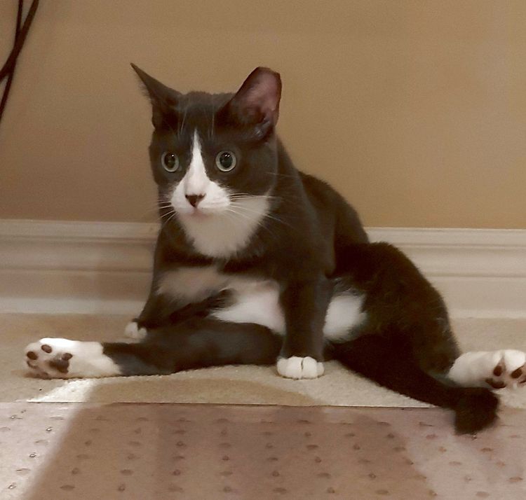 image-20221219171639-13