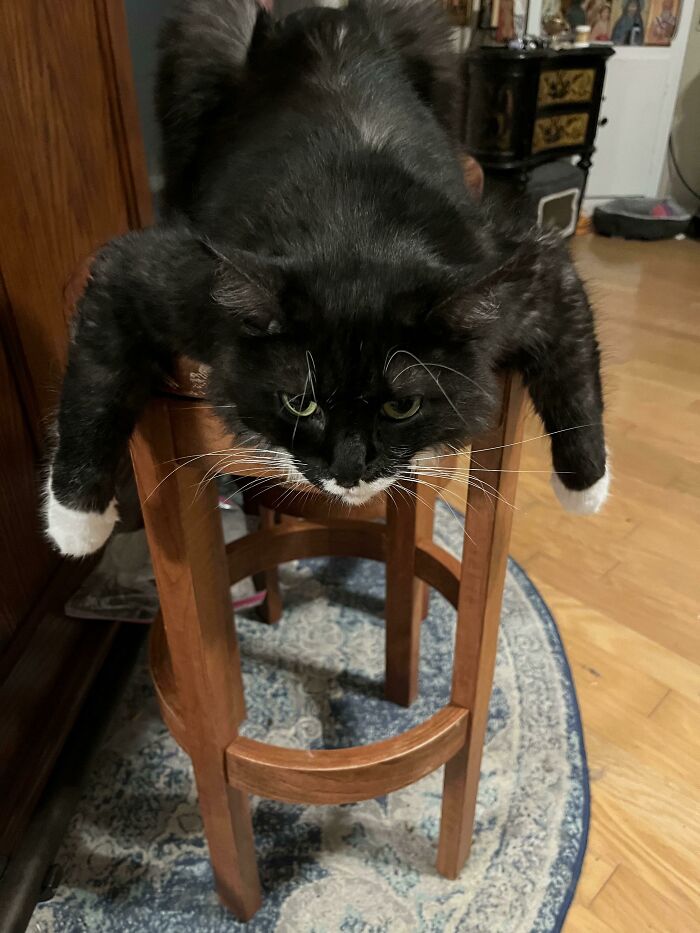 image-20221219171642-14