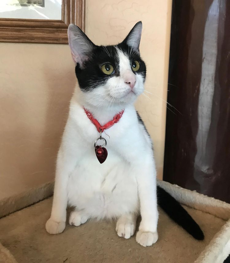 image-20221219171647-16