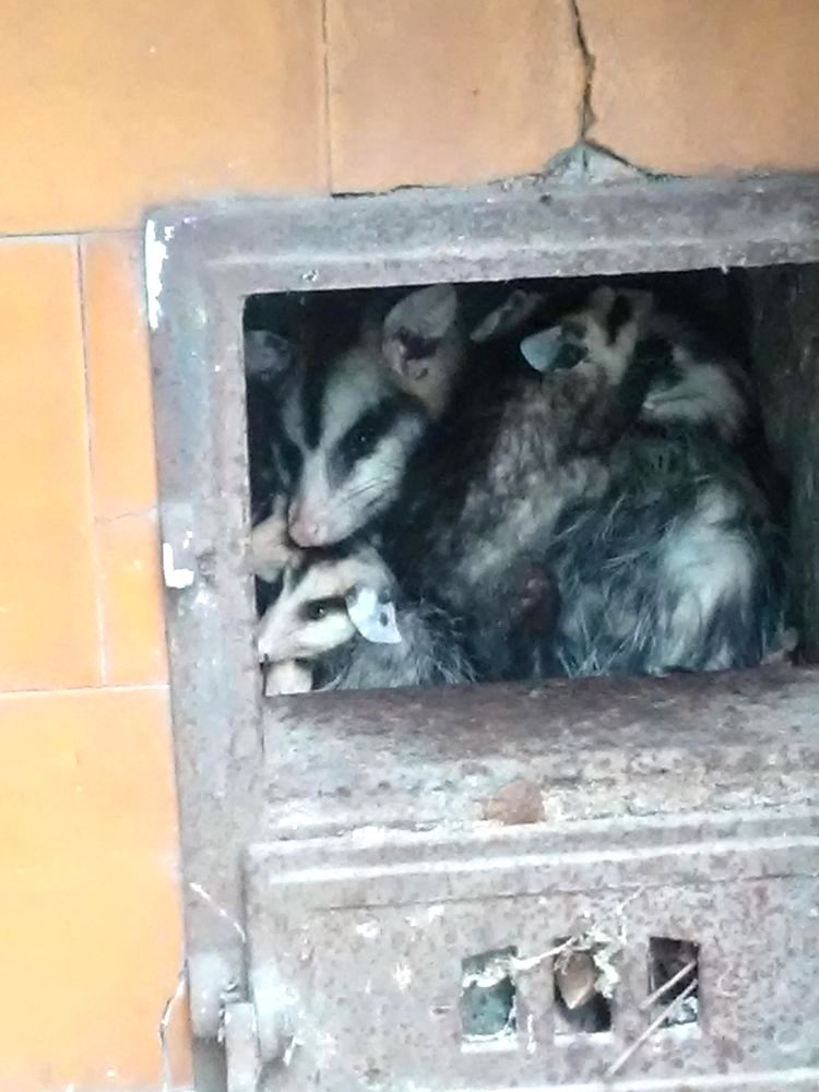 image-20221220141311-12