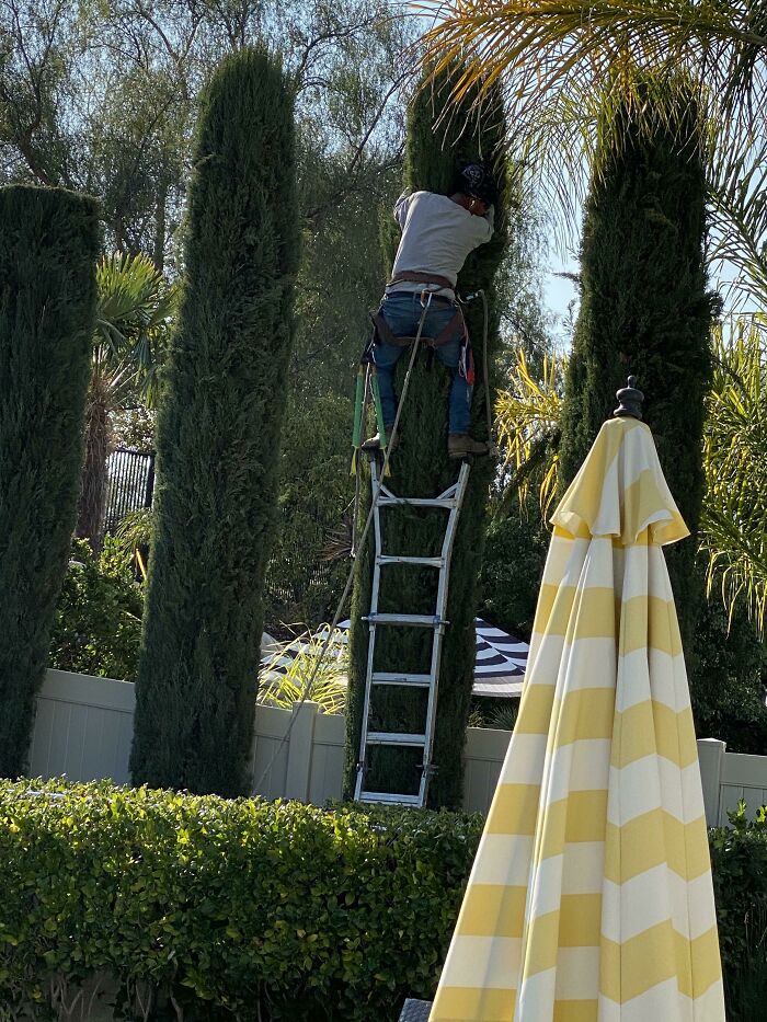 image-20221221103141-3