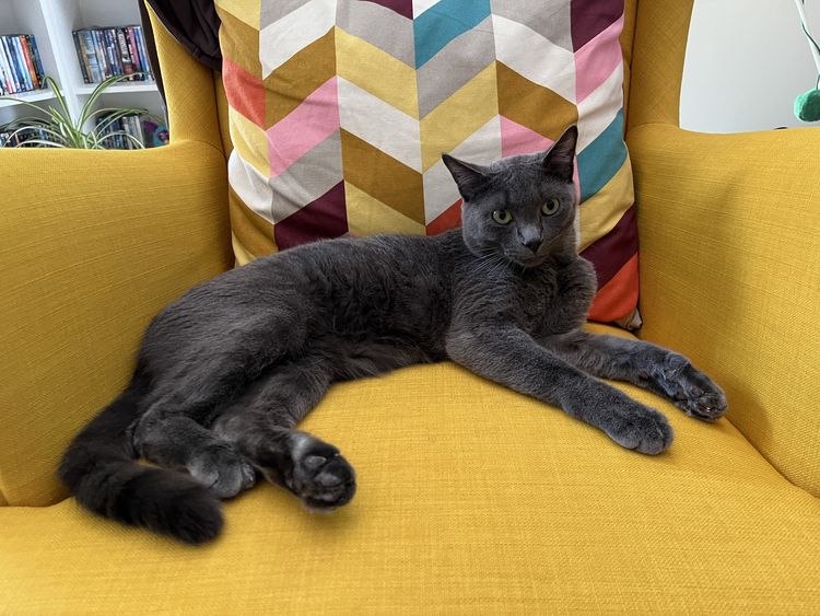 image-20221221155032-1