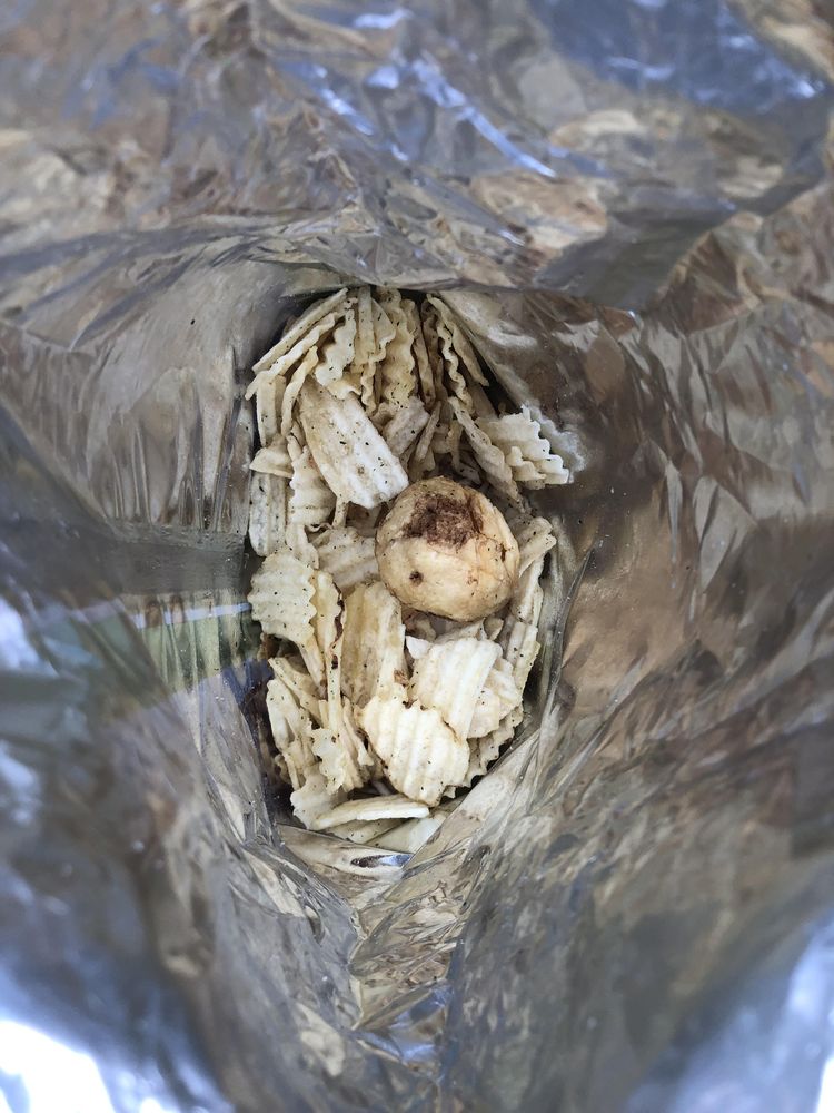 image-20221222145432-1