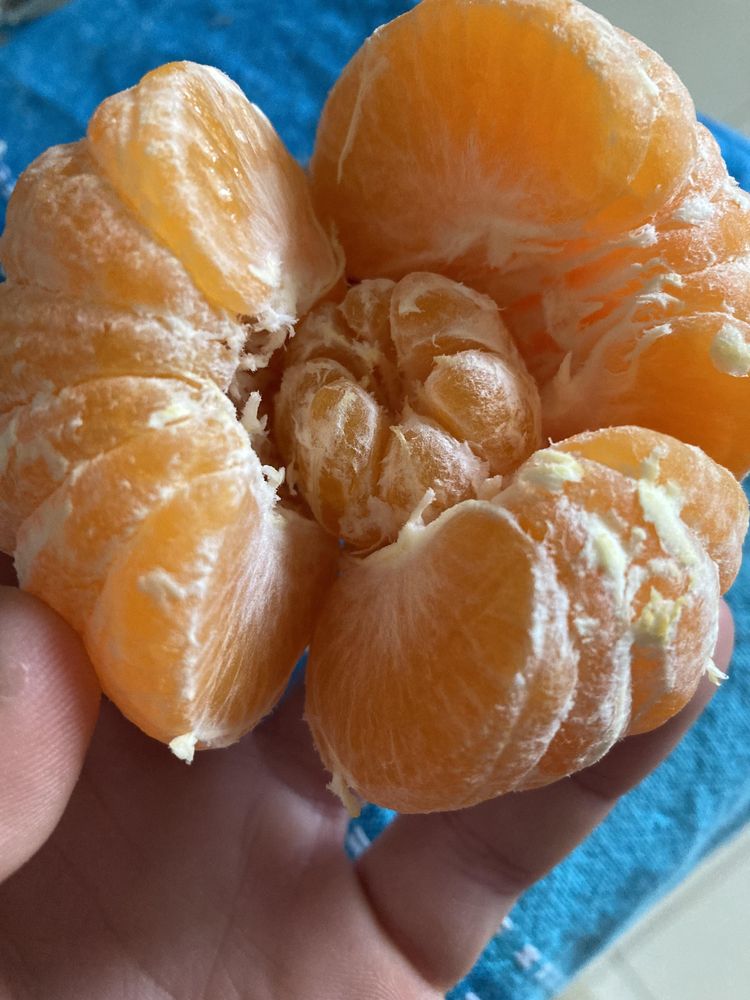 image-20221222145440-4