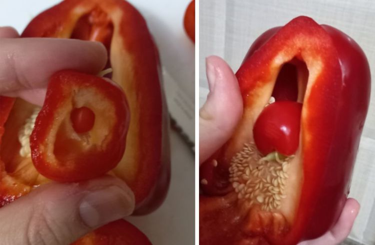 image-20221222145512-6