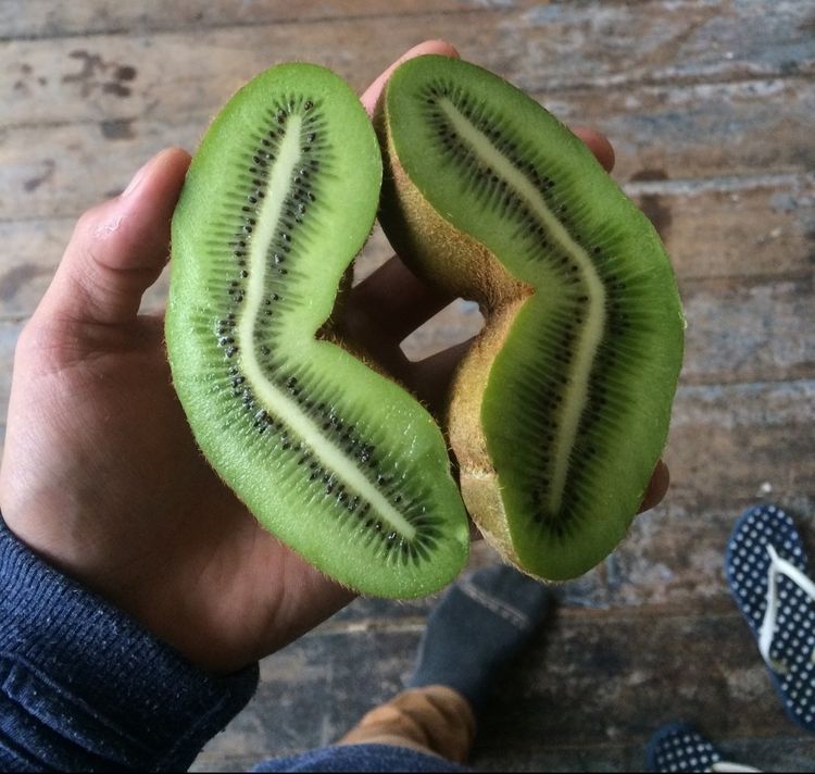 image-20221222145546-14