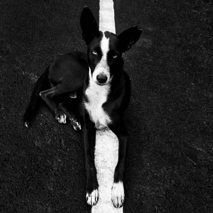 image-20230131163650-2