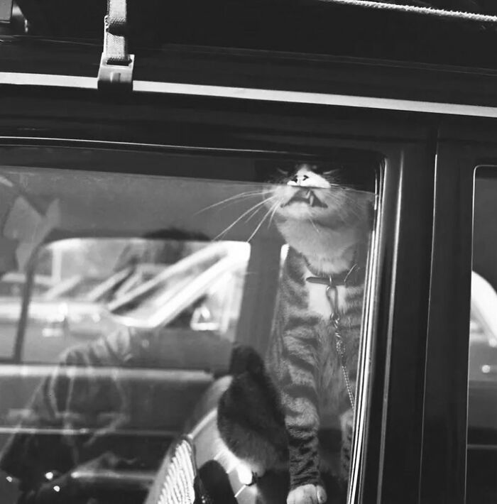 image-20230131163720-5