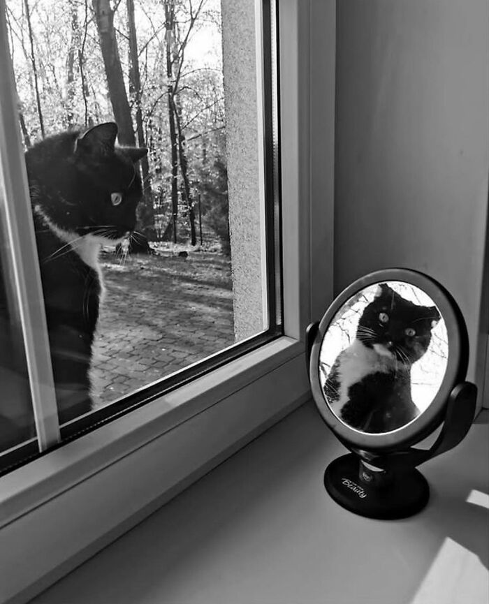 image-20230131163837-15