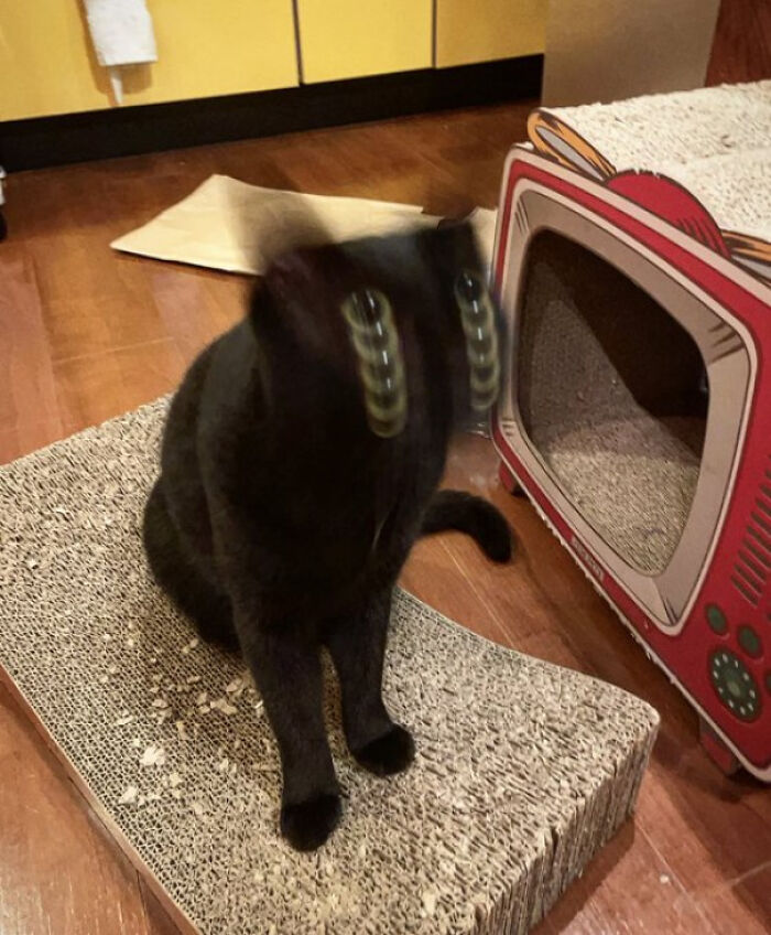 image-20230131184110-1