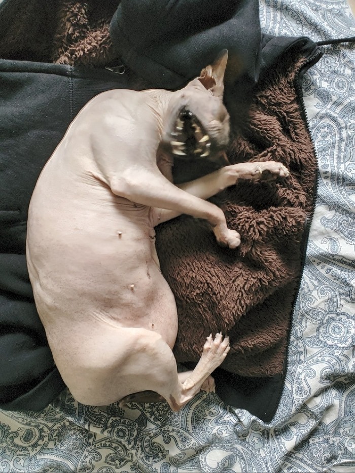 image-20230131184113-2