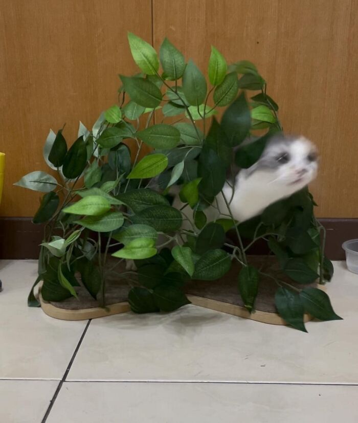 image-20230131184144-11