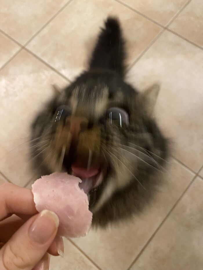 image-20230131184151-13