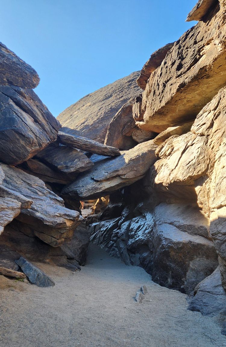 image-20230201153121-3