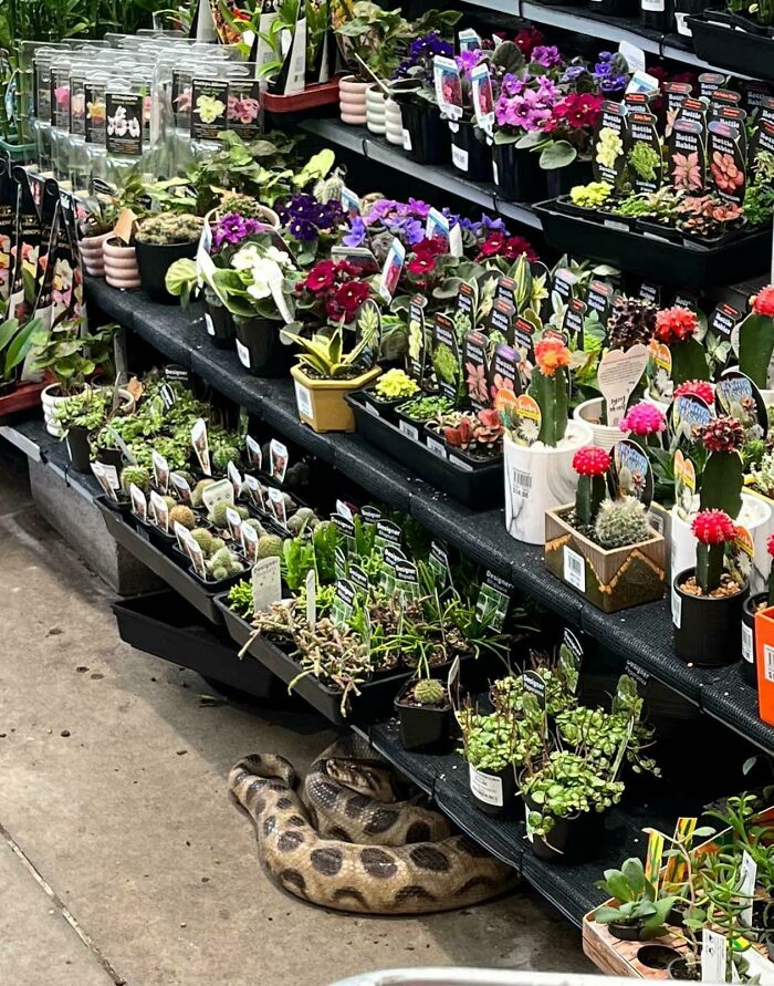 image-20230206125026-1