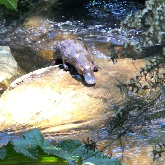 image-20230206125140-7